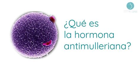 hormona antimulleriana